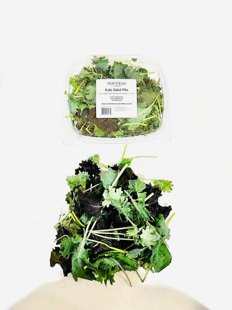 Kale Salad Mix Wholesale