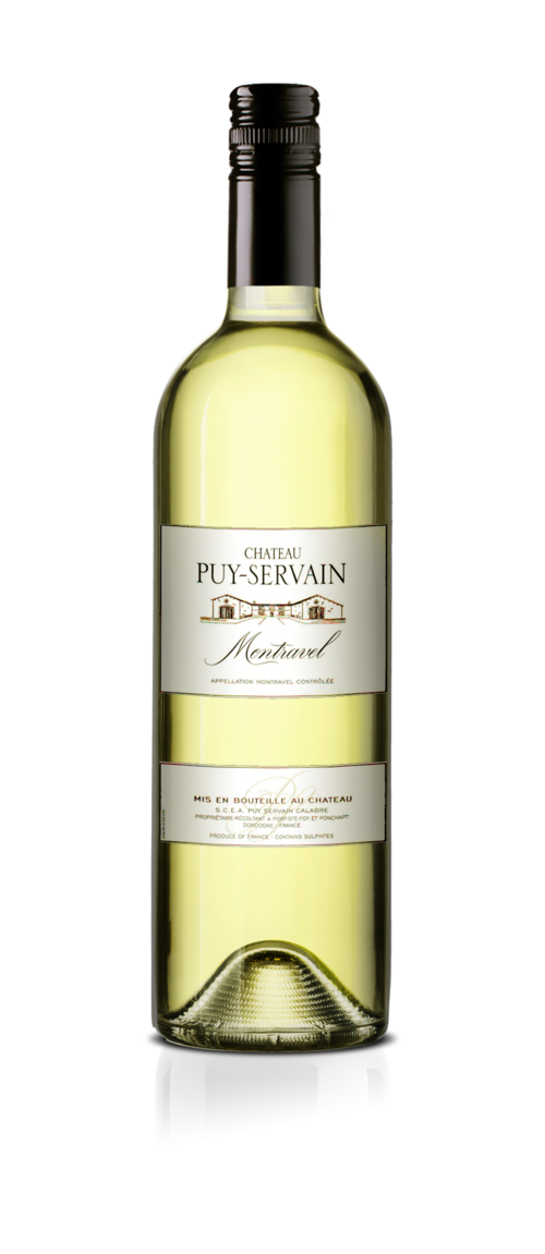 Chateau Puy-Servain